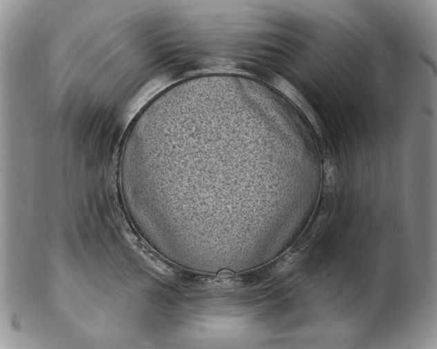 X0000103151002200809051633