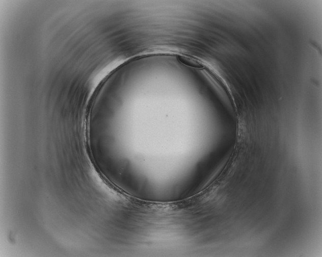 X0000103151003200809051633