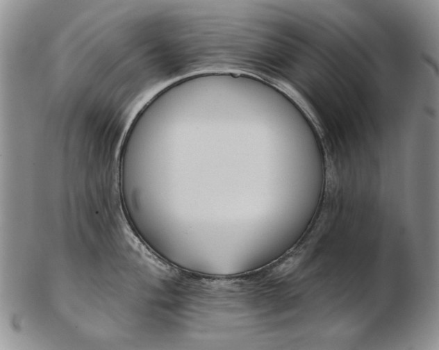 X0000103151004200809051633