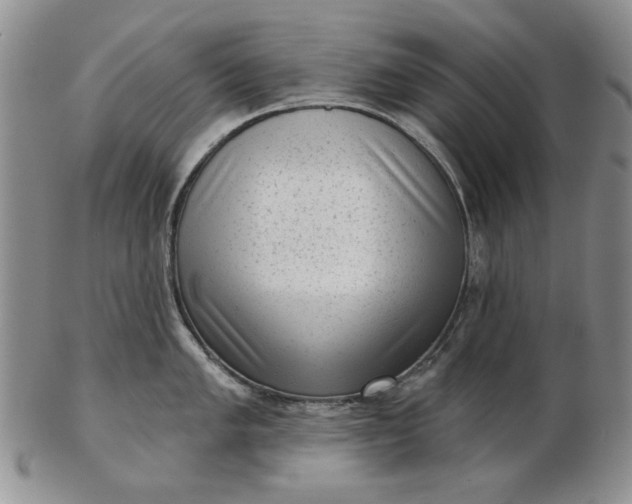 X0000103151005200809051633