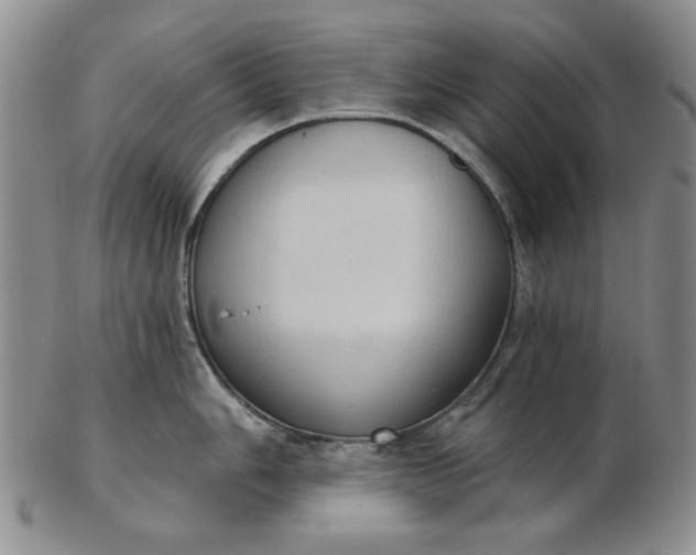 X0000103151006200809051633