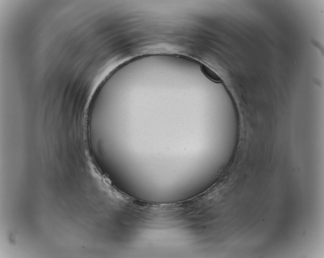 X0000103151008200809051633