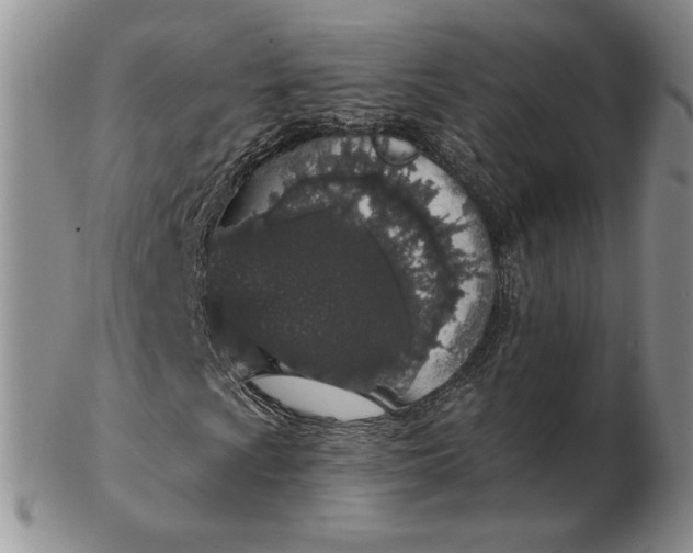 X0000103151009200809051632