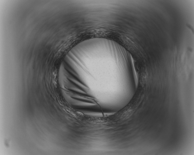 X0000103151010200809051632