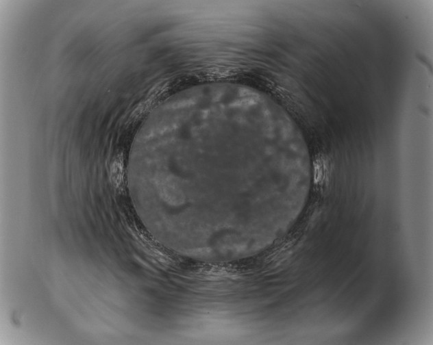 X0000103151011200809051632