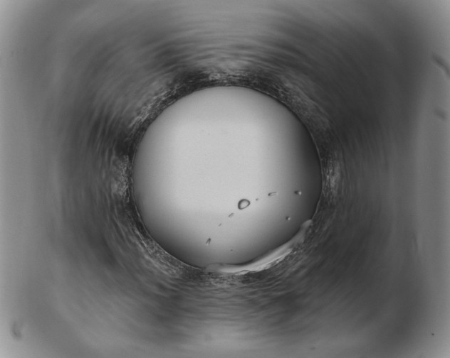 X0000103151012200809051632