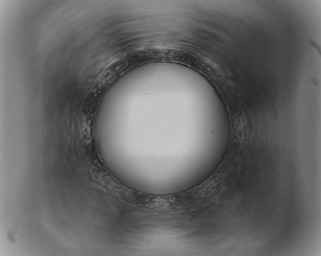 X0000103151013200809051632