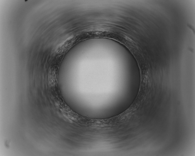 X0000103151014200809051632