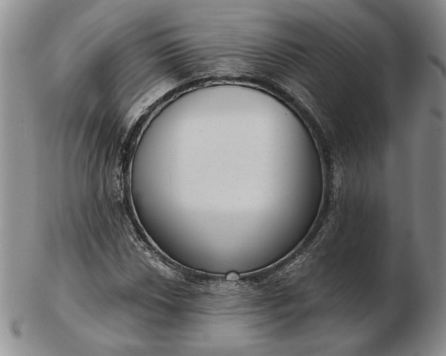 X0000103151018200809051632