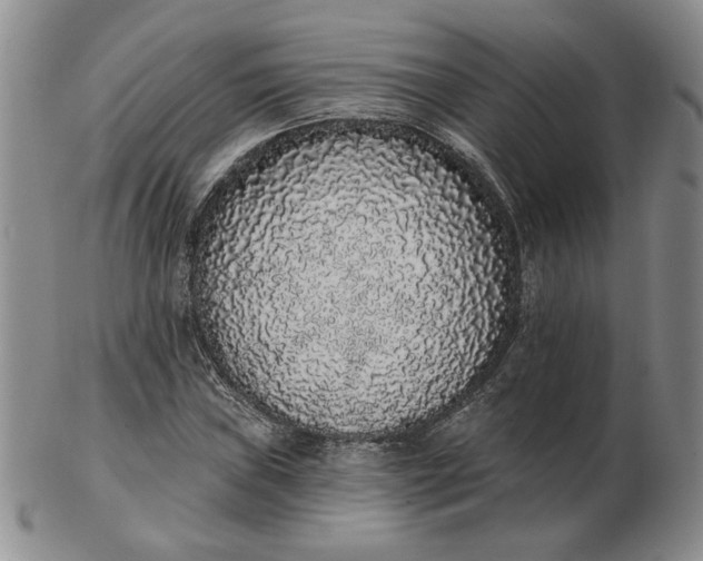 X0000103151019200809051632