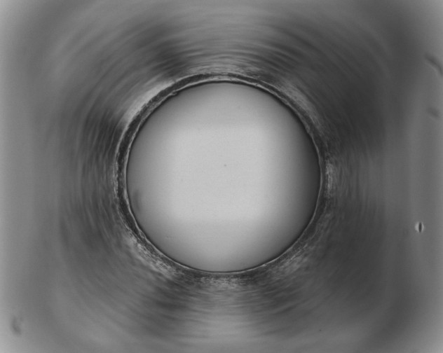 X0000103151020200809051632