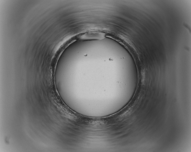 X0000103151021200809051632