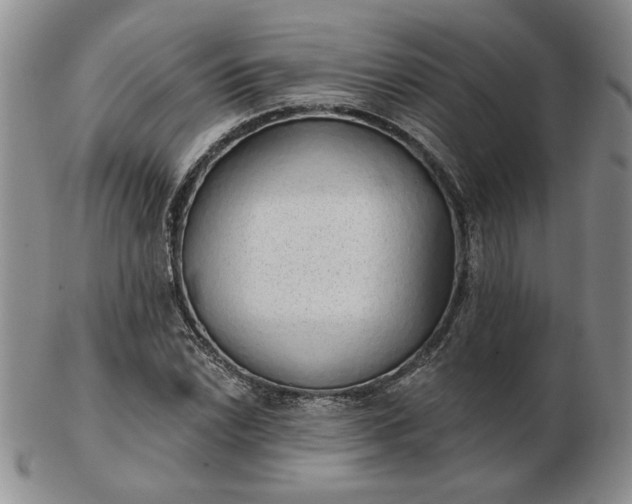 X0000103151022200809051632