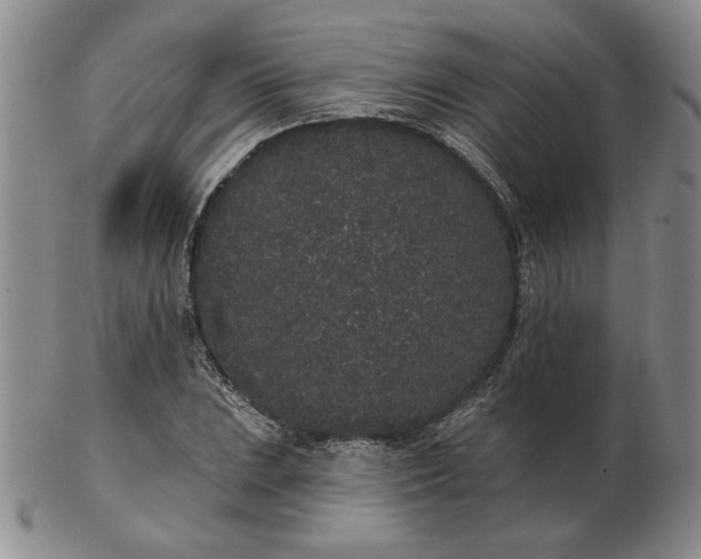 X0000103151023200809051632