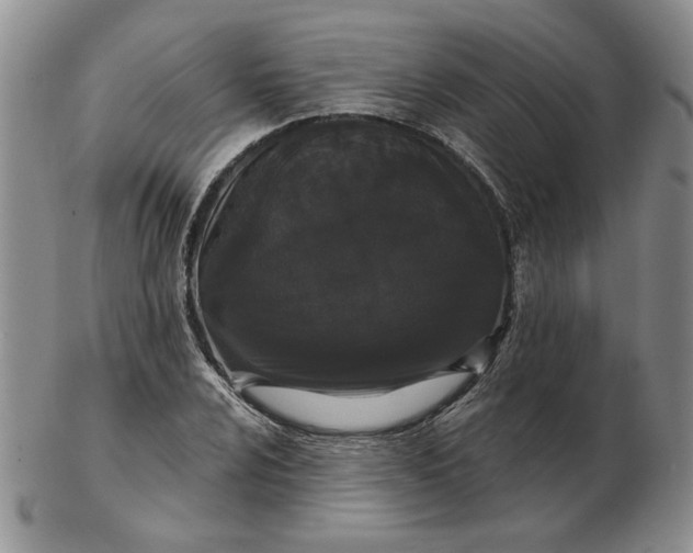 X0000103151024200809051632