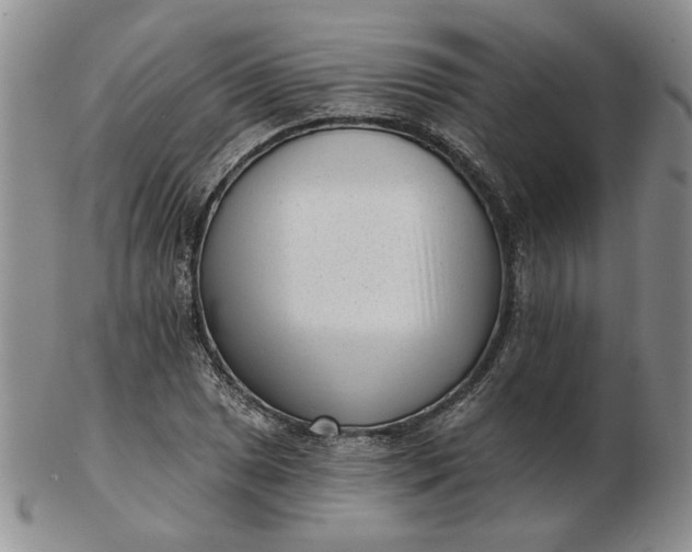 X0000103151025200809051632