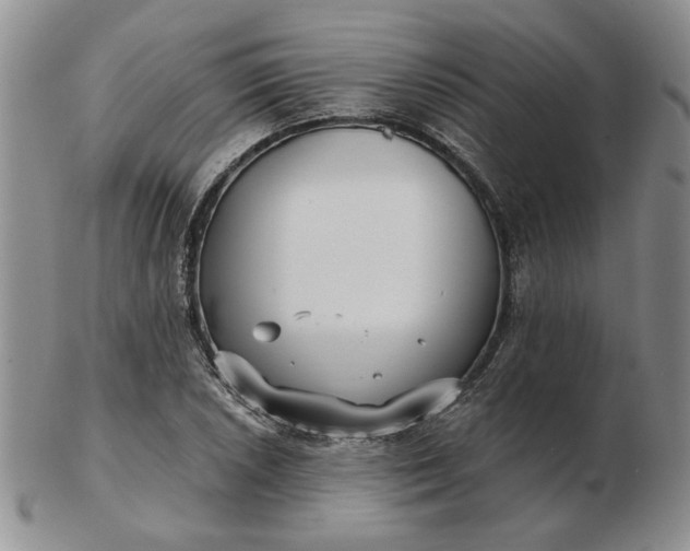 X0000103151026200809051632