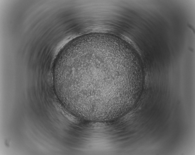 X0000103151027200809051632