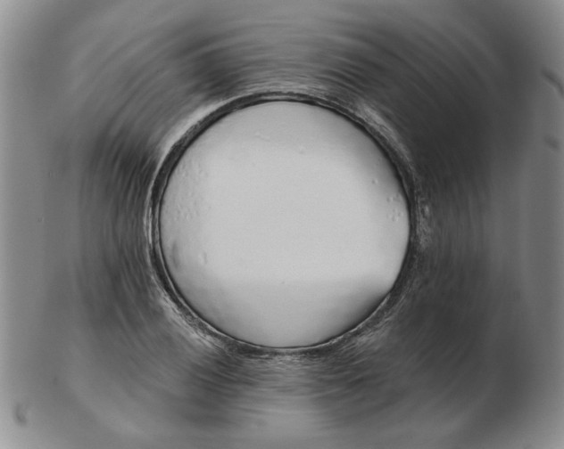 X0000103151028200809051632