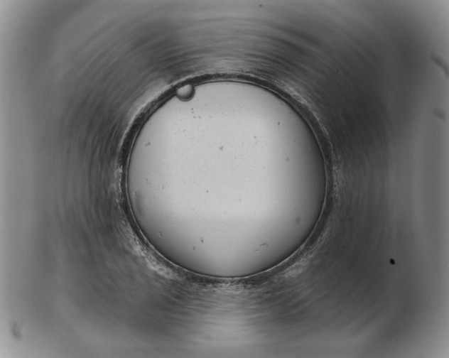 X0000103151029200809051632