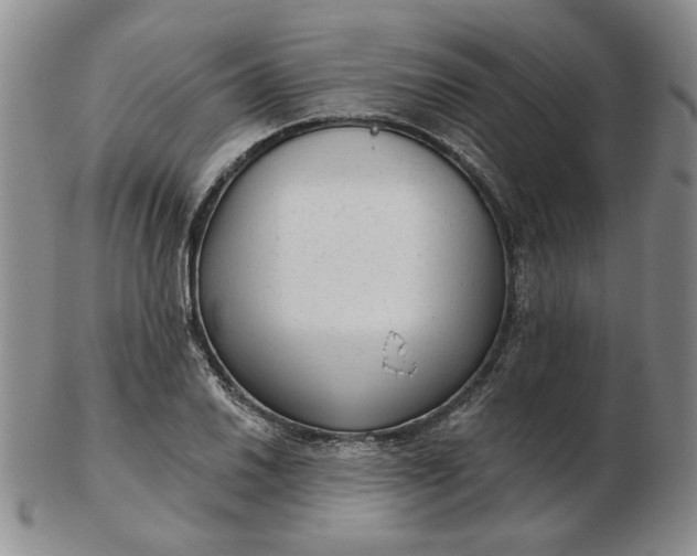 X0000103151030200809051633