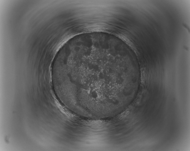 X0000103151031200809051633