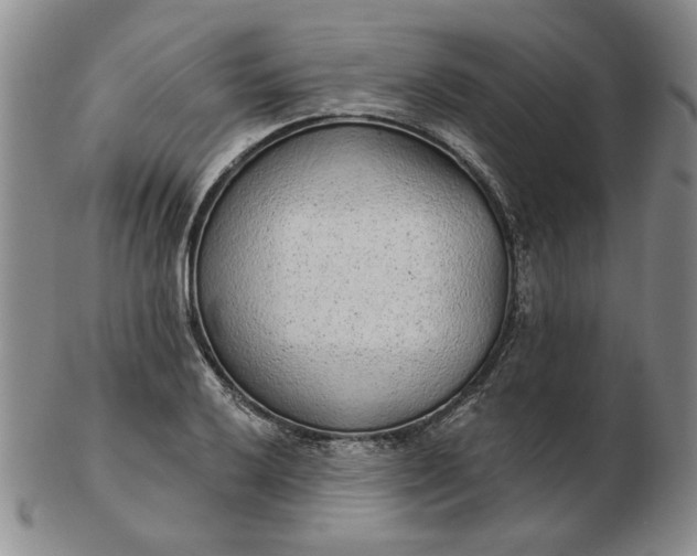 X0000103151032200809051633