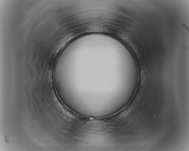 X0000103151033200809051633