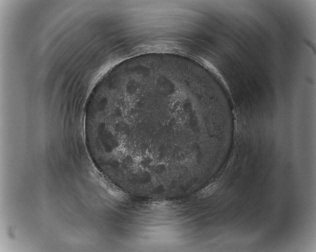 X0000103151035200809051633