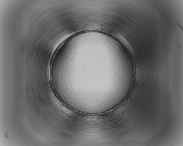 X0000103151036200809051633