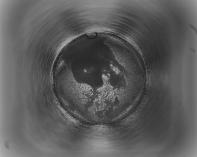 X0000103151037200809051633