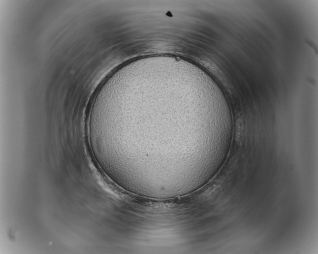 X0000103151039200809051633