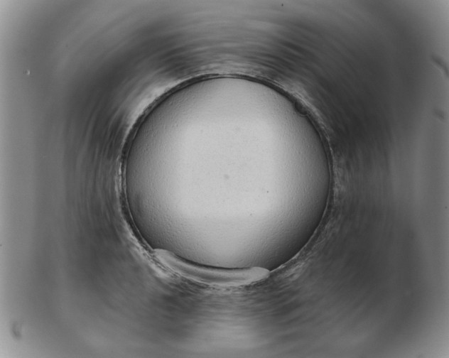 X0000103151040200809051633