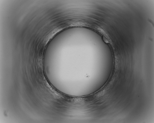 X0000103151041200809051633