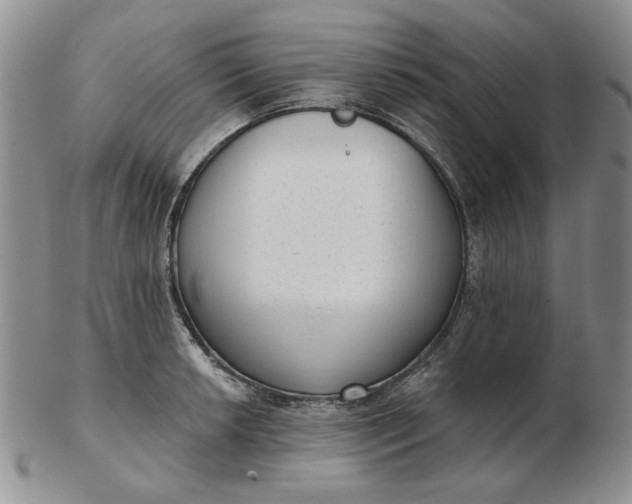 X0000103151042200809051633