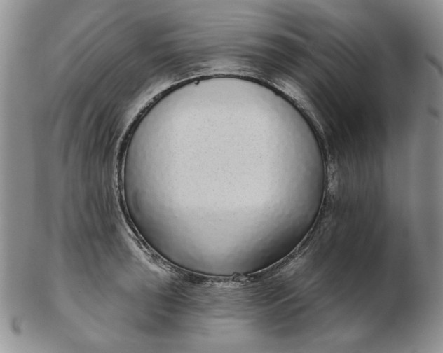 X0000103151043200809051633