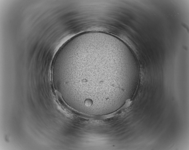 X0000103151044200809051633