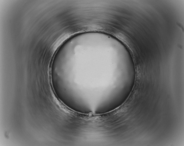 X0000103151047200809051633