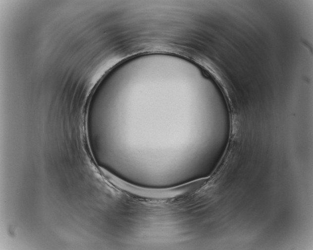 X0000103151048200809051633