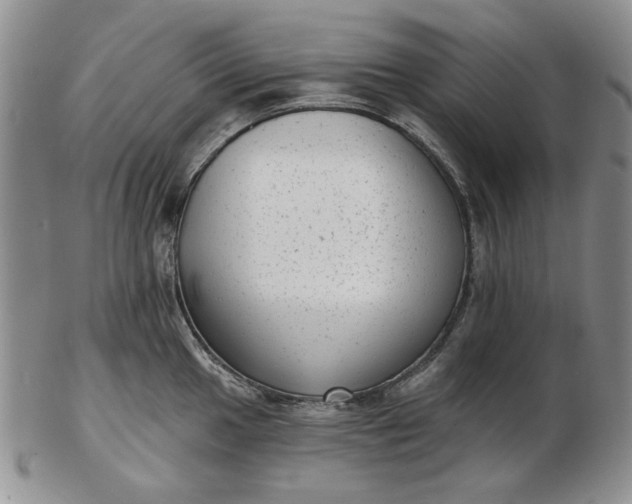 X0000103151049200809051633