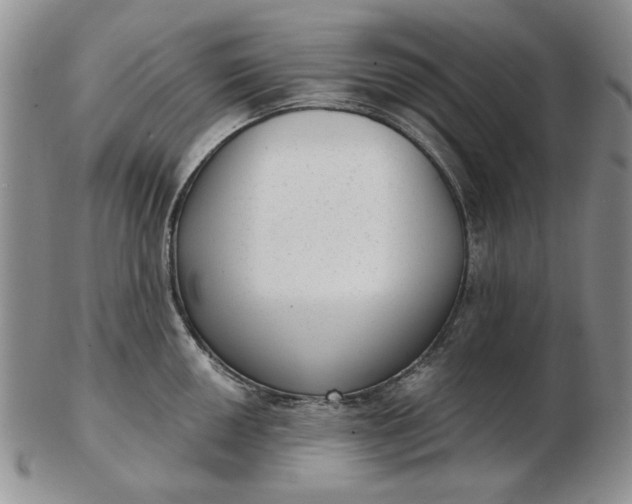 X0000103151050200809051633