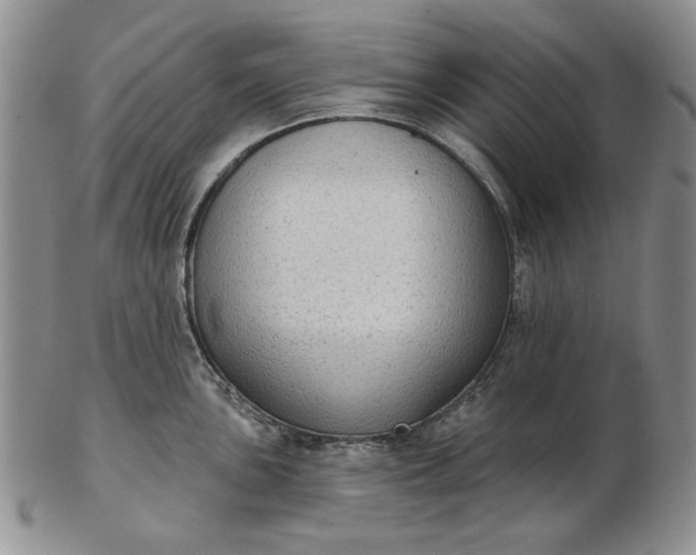 X0000103151051200809051633