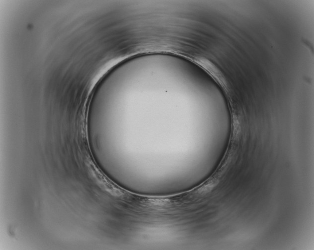 X0000103151052200809051633