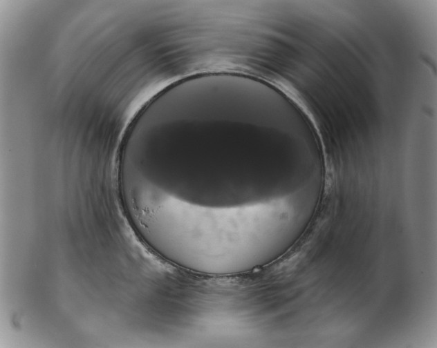 X0000103151053200809051633