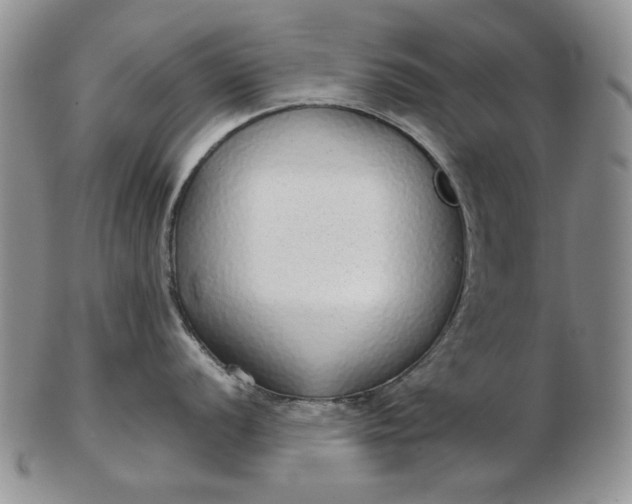 X0000103151056200809051633