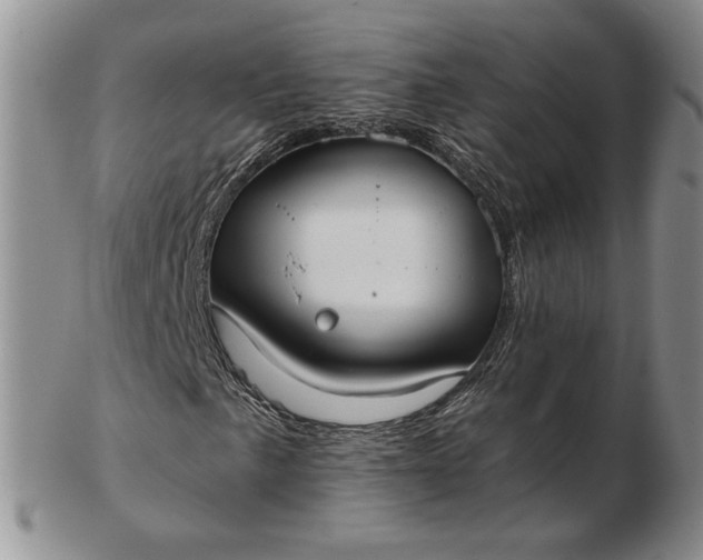 X0000103151057200809051632