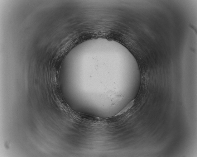 X0000103151058200809051632