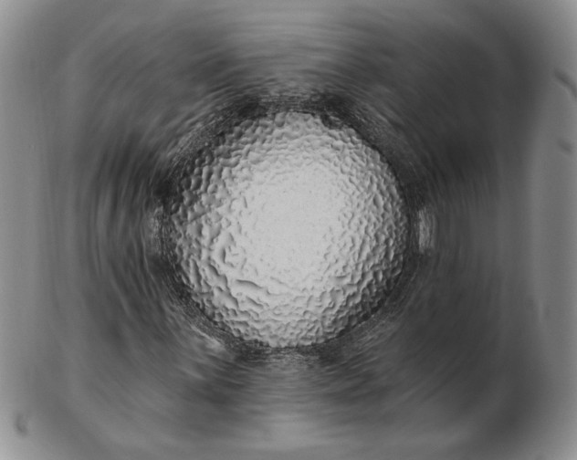 X0000103151059200809051632