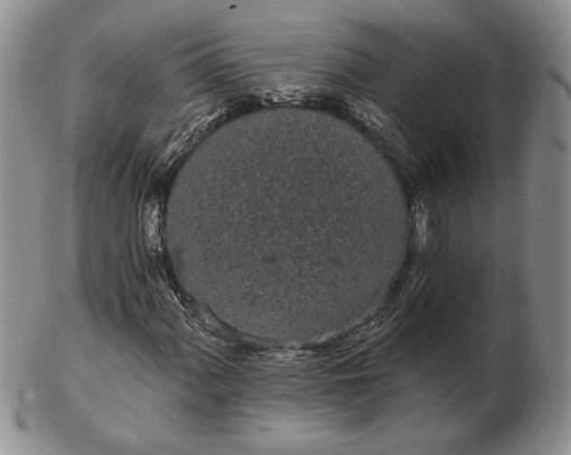 X0000103151060200809051632