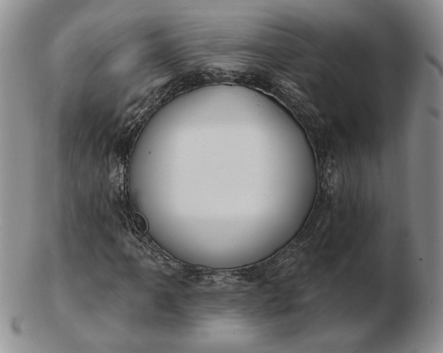 X0000103151061200809051632